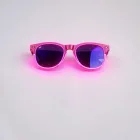 Neon Fun Sunglasses