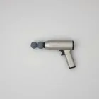 Nórdik Deluxe Massage Gun — 4kg