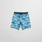 Nautical Waves Board Shorts