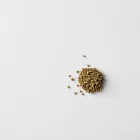 Organic Catnip