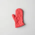 Oven Mitt Set