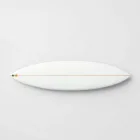 Ocean Voyager Surfboard
