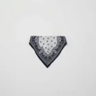 Printed Bandana