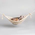Ferret Hammock