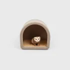 Ferret Habitat - Spacious Design