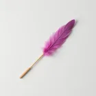 Cat Feather Wand Toy