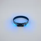 Dog Collar - LED Light Up