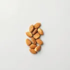 Cat Treats - Fish Delight