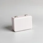 Artistic Design Case