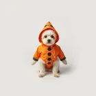 Pet Costume for Halloween