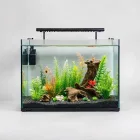 Penn Plax Aquarium Background
