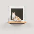 Interactive Cat Window Perch