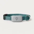 Pet GPS Collar