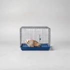 Ferret Cage