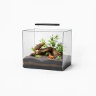 Reptile Habitat