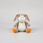 Squeaky Plush Toy