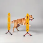 Dog Agility Training Equipment
