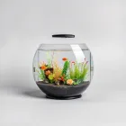 Attractive Aquarium Decorations