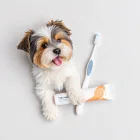 Pet Toothbrush and Toothpaste Set