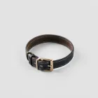 Luxury Dog Collar