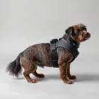 Dog Harness for Small Breeds