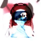 BackPack Pet Carrier