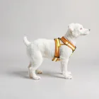 Dog Harness with Reflective Straps