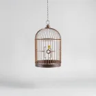 Bird Cages
