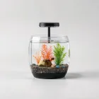 Mini Aquarium