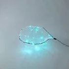 LED Fish Net