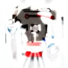 Pet Grooming Kit