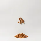 Small Animal Food