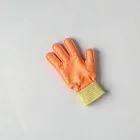 Pet Grooming Gloves