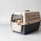 Pet Travel Crate