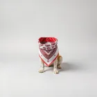 Dog Bandana