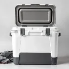 Portable Fish Cooler