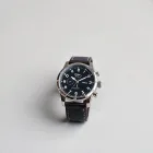 Pilot's Flight Watch