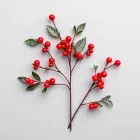 Holly Berry Picks