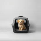 Pinnacle Prestige Pet Carrier — Large