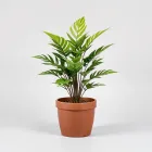 Artificial Potted Plant