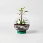 Plant Watering Globes