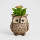 Whimsical Owl Planter