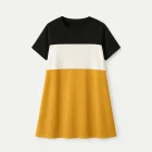 Plus Size Color Block Dress