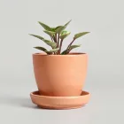 Ceramic Plant Pots with Saucers