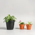 Self-Watering Flower Pots