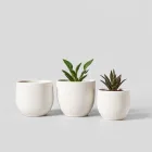 Ceramic Plant Pots Set