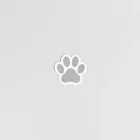 Pet Paw Print Stickers