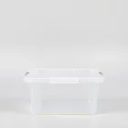 Plastic Storage Bins with Lids
