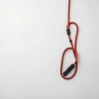 ProSurf Leash
