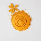 Pumpkin Spice Protein Powder